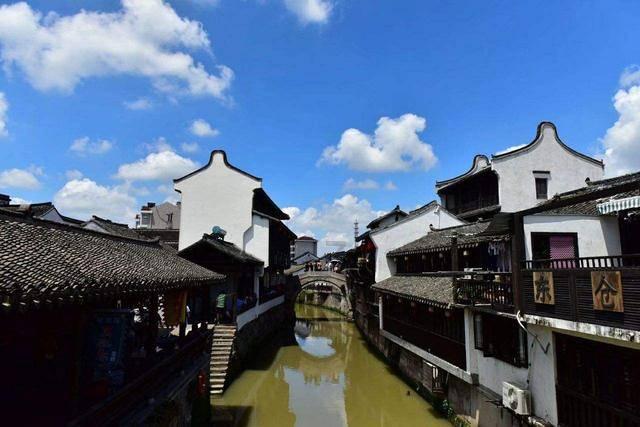 动物帮帮忙保卫家园